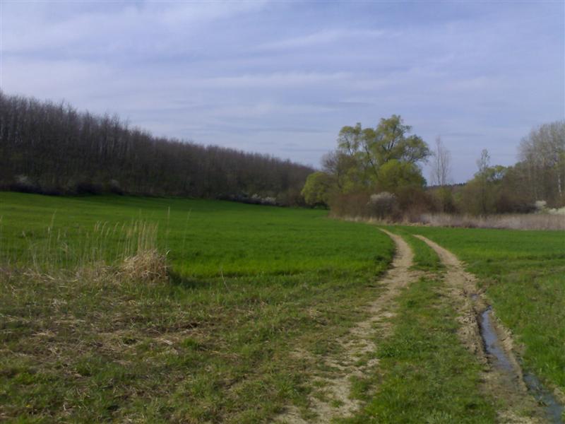 200704091776 .jpg